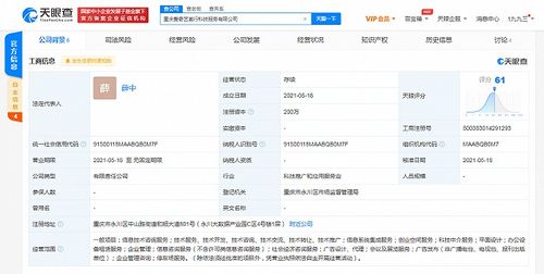 愛奇藝在重慶成立科技公司，拓展創(chuàng)業(yè)空間與信息系統(tǒng)集成服務(wù)